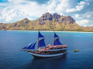 Komodo Island Tour Viator