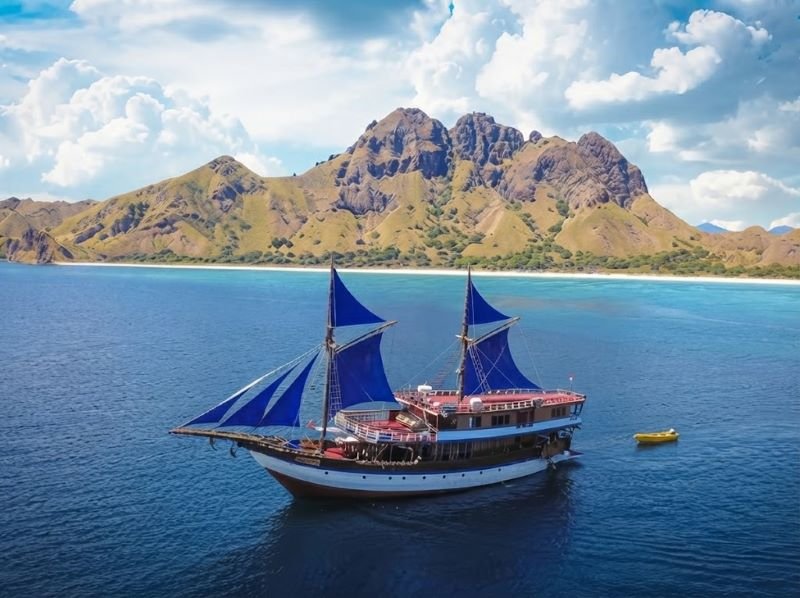 Komodo Island Tour Viator