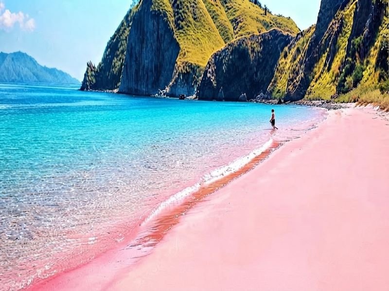 Komodo National Park Pink Beach