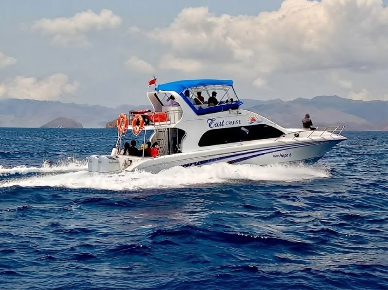 Komodo open trip aja