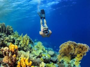 Komodo snorkeling trip