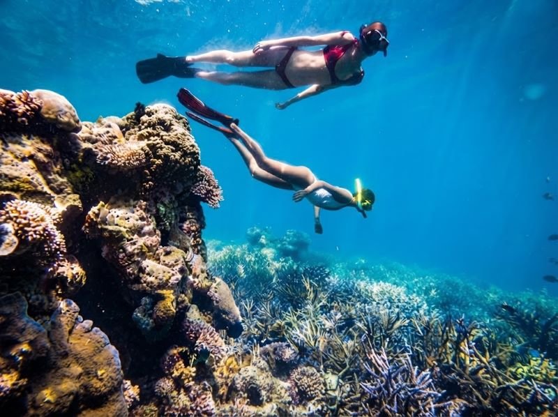 Komodo tour snorkeling