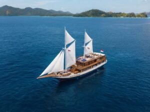 Open Trip Komodo Guide