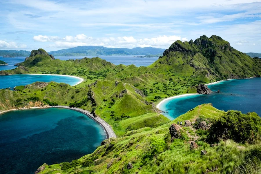 Padar Island komodo dragons