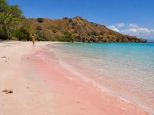 Pink Beach Komodo