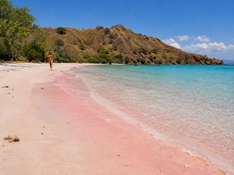 Pink Beach Komodo