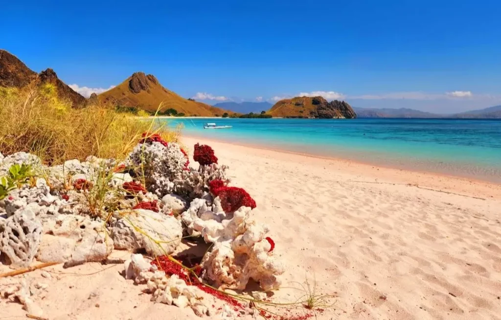 Pink Beach Labuan Bajo