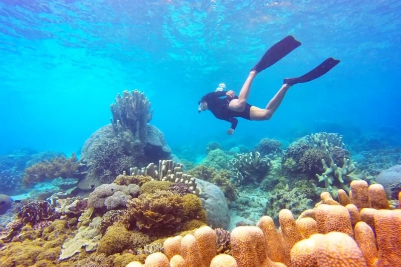 Taka Makassar island snorkeling