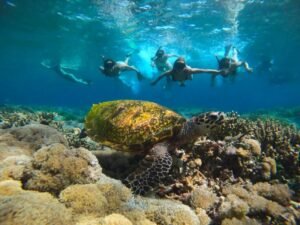 Taka Makassar island snorkeling