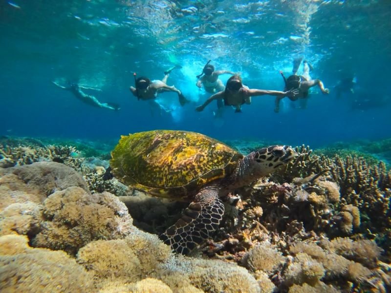 Taka Makassar island snorkeling