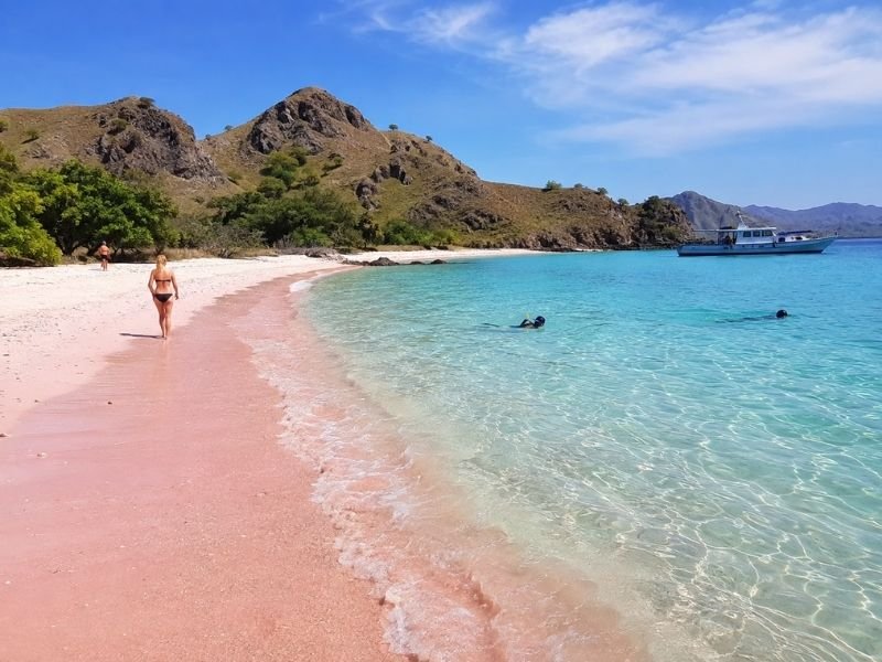 Travelers snorkeling in turquoise water at Pink Beach Komodo