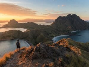 how to plan a trip to Komodo