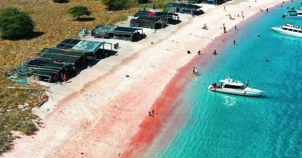 pink beach labuan bajo