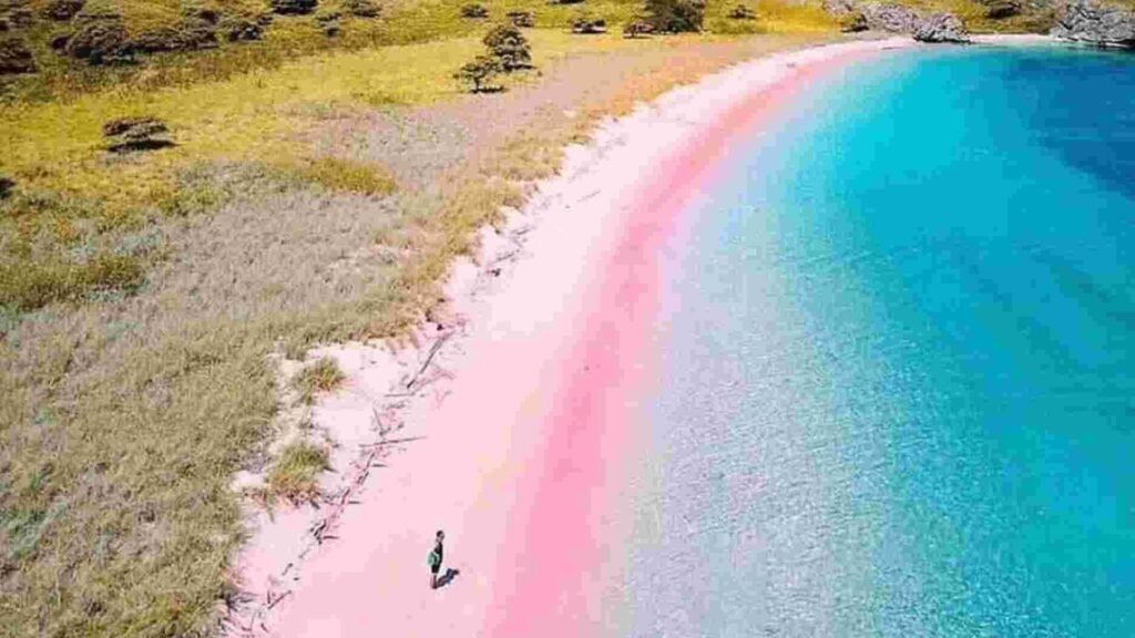 pink beach labuan bajo