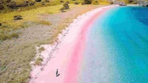 pink beach labuan bajo