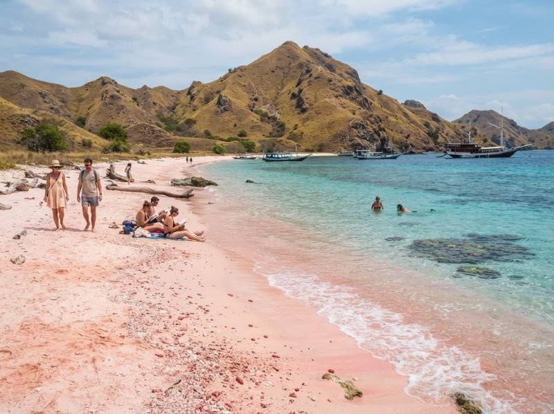 pink beach near labuan bajo