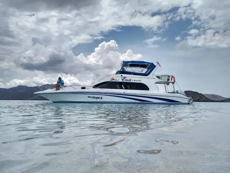 Komodo tour full day