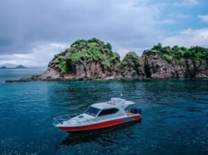 Komodo island 1 day tour