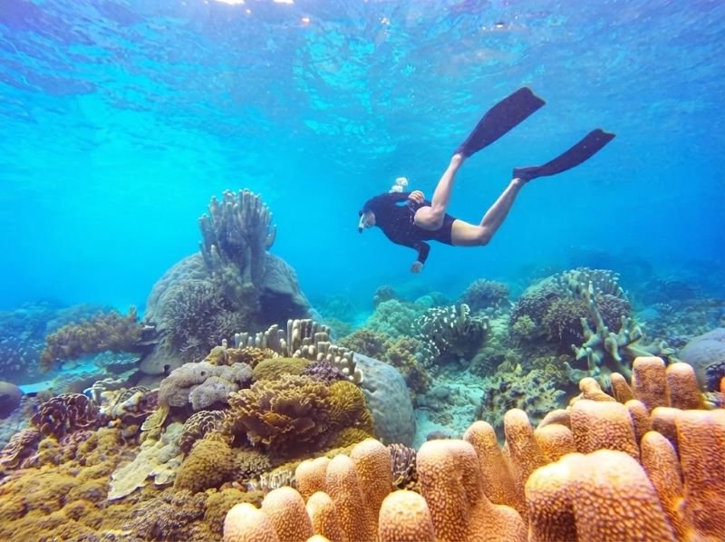 Pulau Bajo snorkeling