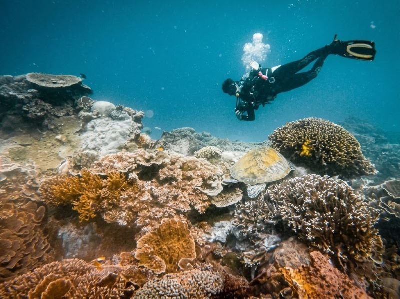 diving Pulau Komodo