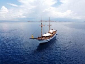 sailing Komodo Avis