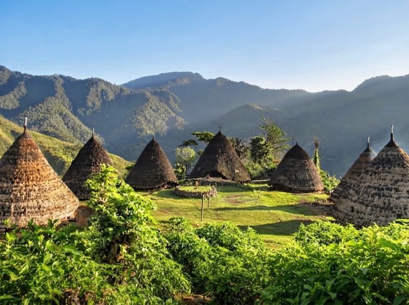 Wae Rebo culture