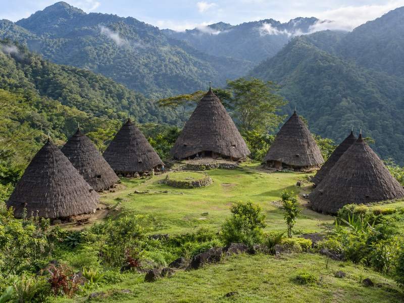 wae rebo one day