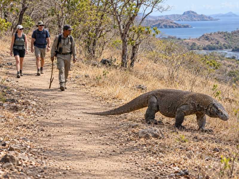 walking with a ranger on an island wildlife trail